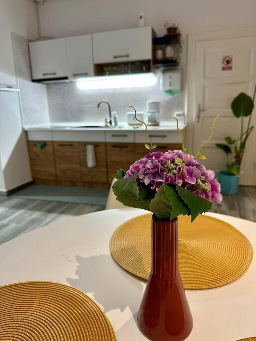 Zion Home Nagyszeben Kültér fotó