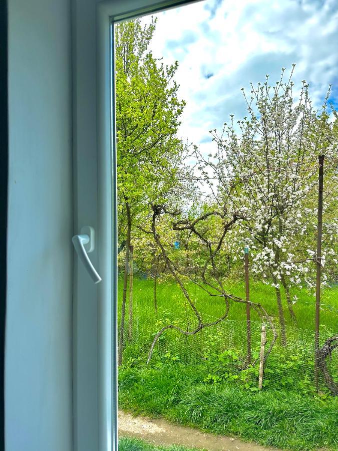 Zion Home Nagyszeben Kültér fotó